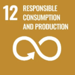 SDG 12 Responsible Consumption and Production